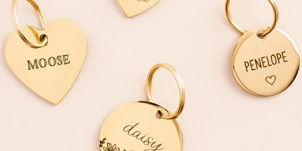 Get It Quick! Shop Deals, Fast Shipping, Your World, Right Here!