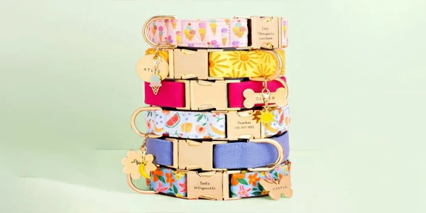 Unleash Your Style Explore Today's Hottest Finds Absolutely Amazing Discover Your Next Favorite Now